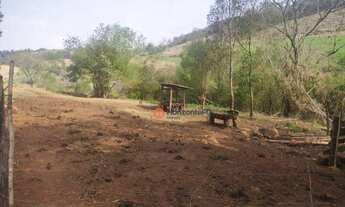 Imagem 8: Chácara 5 Alqueires em Cantagalo-Pr