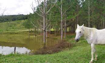 Imagem: Sítio Terreno Rural Itajaí - SC - Itaipava
