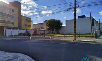 Imagem 3: Terreno à venda, 608 m² por R$ 1.500.000,00 - Alto Alegre - Cascavel/PR