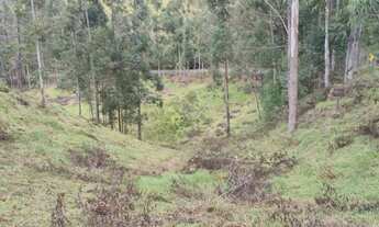Imagem 2: Sítio Contendo 17,9 Hectares Em Marmelópolis - Sul De Minas Gerais