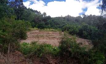 Imagem 2: Sítio de 2 hectares na Colônia Maciel