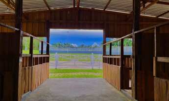 Imagem 4: Chácaras Rio Negro - Transferência