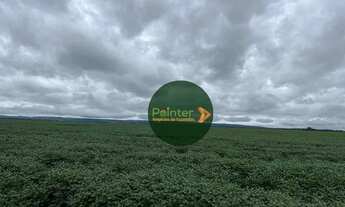 Imagem: Fazenda com 3 dormitórios à venda, 350000