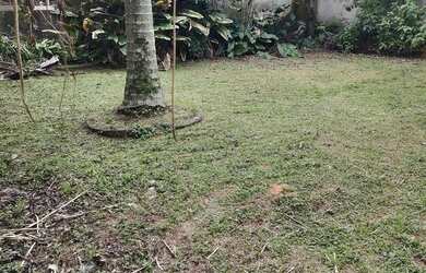 Imagem 5: Aluguel residencial/comercial