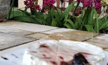 Imagem 4: Casa em condomínio virgem de Guadalupe chã grande