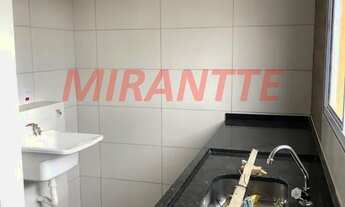 Imagem 4: Apartamento de 50m² com 2 quartos em Nova Cerejeira