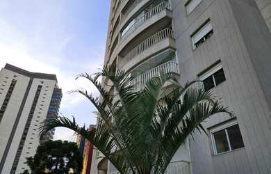 Imagem 3: Alto da Lapa - O melhor do semento !!!!