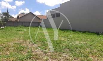 Imagem 3: Terreno - Nova Campinas - Campinas