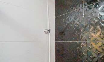 Imagem 3: Apartamento para Aluguel - Tatuapé, 3 Quartos, 79 m2