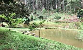 Imagem 3: Vendo Sítio em marechal Floriano