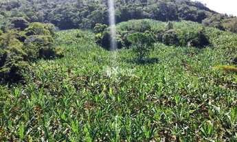 Imagem 4: Terreno de 2 alqueires à Venda em Laje das Pedras, Guarapari/ES - Produção de Banana, Água