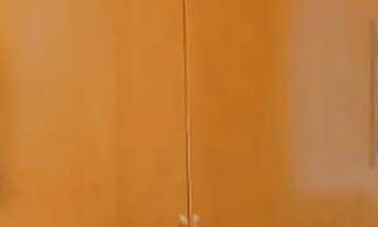 Imagem 6: Térrea para venda possui 175 metros quadrados com 3 quartos em Vila Isolina Mazzei - São P