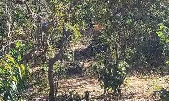 Imagem 2: Terreno Terreno / lote com venda por R$45.000