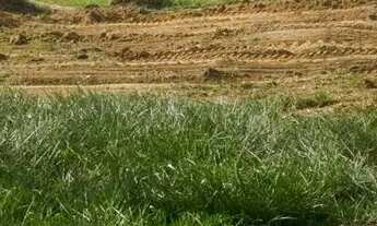 Imagem 2: Lote comercial de esquina