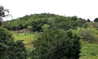 Imagem 4: Sítio com 29 tarefas no município de Itaporanga DAjuda