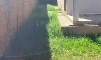 Imagem 6: Para vender logo