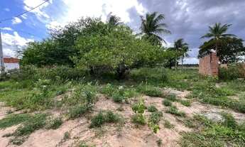 Imagem 2: Terreno 7X20 Humildes Feira de Santana