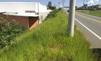 Imagem 3: Terreno à venda em Campinas, Residencial Nova Bandeirante, com 1318 m²