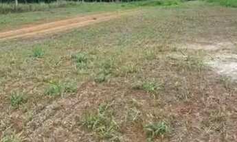 Imagem 6: Fazenda de arrendamento 1.500hec em Itiquira MT