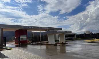 Imagem: Lote Hibiscos