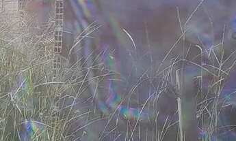 Imagem 5: Terreno com construção inacabada