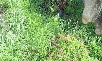 Imagem 6: Terreno à venda, 180 m² por R$ 380.000,00 - Piratininga - Niterói/RJ