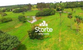 Imagem 3: Fazenda à venda com 217,80 hectares (45 alqueires) por R$ 9.450.000 - Município de Campina