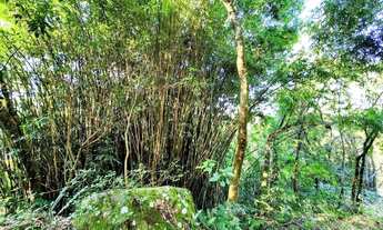 Imagem 4: Sítio / Chácara para Venda em Nova Petrópolis, Linha Riachuelo