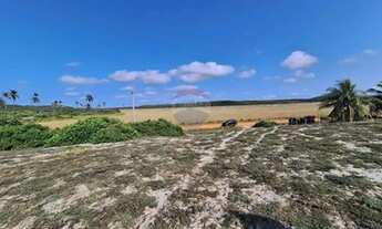 Imagem 5: Terreno Vista Mar à venda Sitio Do Conde