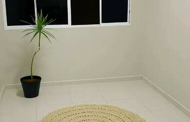 Imagem 7: Apartamento no bairro da Paz