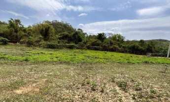 Imagem 5: Sítio com Suíte e Poço Artesiano - Oportunidade Única!