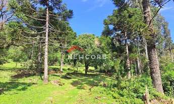 Imagem: Sítio em Estrada da Carapina - Vale do