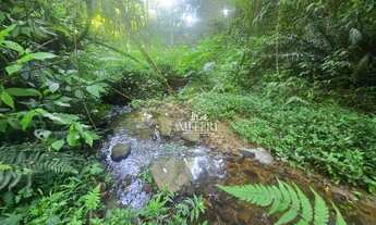 Imagem 7: Chácara à venda, 9970 m² por R$ 1.540.000,00 - Colonia Santa Gabriela - Almirante Tamandar