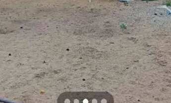 Imagem 2: Casa a venda na caponga