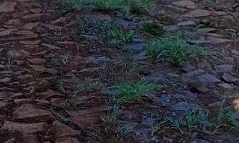 Imagem 6: Vendo linda chácara..