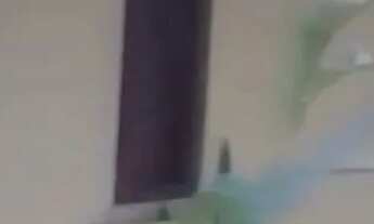 Imagem: Casa simples em praia do forte