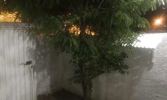 Imagem 3: Excelente CASA para ALUGAR - Patos