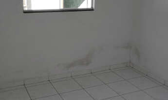 Imagem 5: Alugo casa no bairro Alexandrina