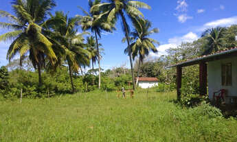 Imagem 7: Sítio em Abrantes