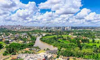 Imagem 3: Londrina - Apartamento Padrão - Bela Suiça