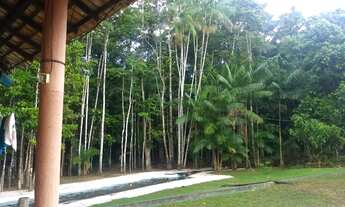 Imagem 7: Chácara para venda em Sao Francisco (PA