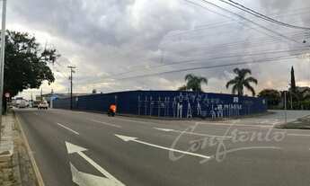 Imagem 3: Terreno Pinheirinho