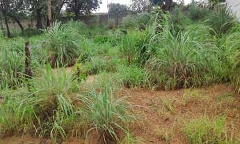 Imagem: Lote na quadra 1404 Sul (ARSE 141