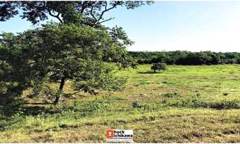 Imagem 5: Fazenda de 150 tarefas - Colônia Treze - Lagarto