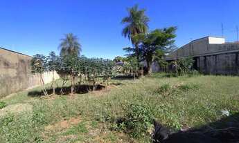 Imagem 4: Venda de Terreno / Lote na cidade de Araçatuba