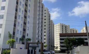 Imagem: Apartamento Último Andar Bucarein