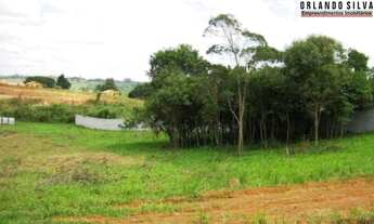 Imagem: 11min Shopping S.José/31min Curitiba/Terreno/Comercial/3.841,24m²/