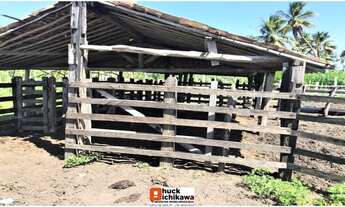 Imagem 2: Fazenda de 348 Tarefas