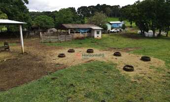 Imagem 5: Chácara à venda, 8 Alqueires por R$ 1.900.000,00 - Centro - Turvo/PR