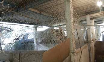 Imagem 4: Fazenda/Sítio/Chácara para venda tem 250 metros quadrados com 5 quartos